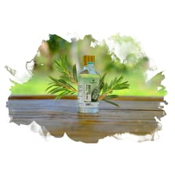 Tinh Dầu Tràm Nguyên Chất Mẹ Ken 50ml 3