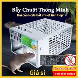 Bẫy chuột tự động thông minh thế hệ mới - hiệu quả cao, tái sử dụng và bắt nhiều chuột cùng lúc 1