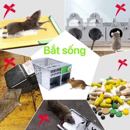Bẫy chuột tự động thông minh thế hệ mới - hiệu quả cao, tái sử dụng và bắt nhiều chuột cùng lúc 7
