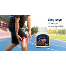 Viên uống Vitatree Glucosamine 1500 Plus Shark Cartilage hỗ trợ duy trì chức năng của khớp (100viên) 6