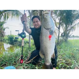 CẦN BỌ CẠP  ĐẠI NGÁO MẨU MỚI BẢN NÂNG CẤP CACBON XOẮN Cần Đứng Khoen đề ba cao to   ) LURE ( câu ao hồ) kèm khóa link 3