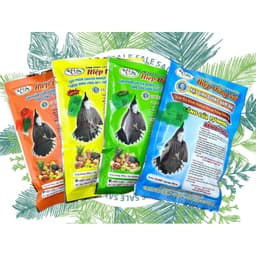 cám chim chào mào cao cấp hiệp đồng nai shop lồng chim đôla huế 1