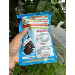 cám chim chào mào cao cấp hiệp đồng nai shop lồng chim đôla huế 3