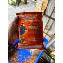 cám chim chào mào cao cấp hiệp đồng nai shop lồng chim đôla huế 4