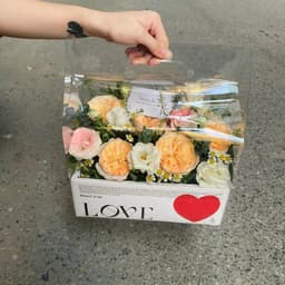 Khay Túi Đựng Trái Cây, Giỏ Quà Tặng Sang Trọng 5