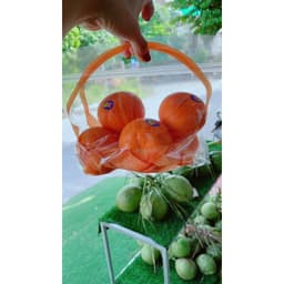 Set 10 Túi Zip đựng 1kg, 2kg xinh xắn 6