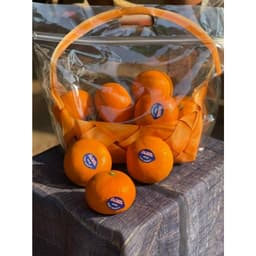 Set 10 Túi Zip đựng 1kg, 2kg xinh xắn 2