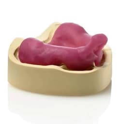 5 MIẾNG SÁP LÀM KHAY CÁ NHÂN NHA KHOA 3