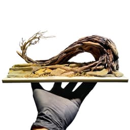 Layout Thuỷ Sinh Cầu Vồng Ver.4 l Layout Tiểu Cảnh Trang Trí Bể Cá Thủy Sinh Đa Dạng | RF Aquarium 2