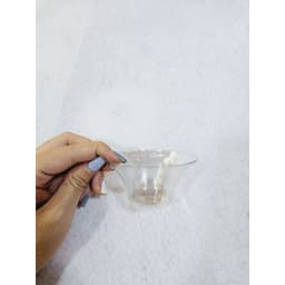 Chụp Nhựa Đỡ Cánh Hoa Đồng Tiền, Hoa Cúc (Lốc 100 / 500 Cái) - Chống Gãy Cánh, Giữ Form 7