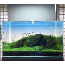 Tranh Decal Dán Bể Cá, Bể Thủy Sinh - Bầu Trời (Open Sky) 4