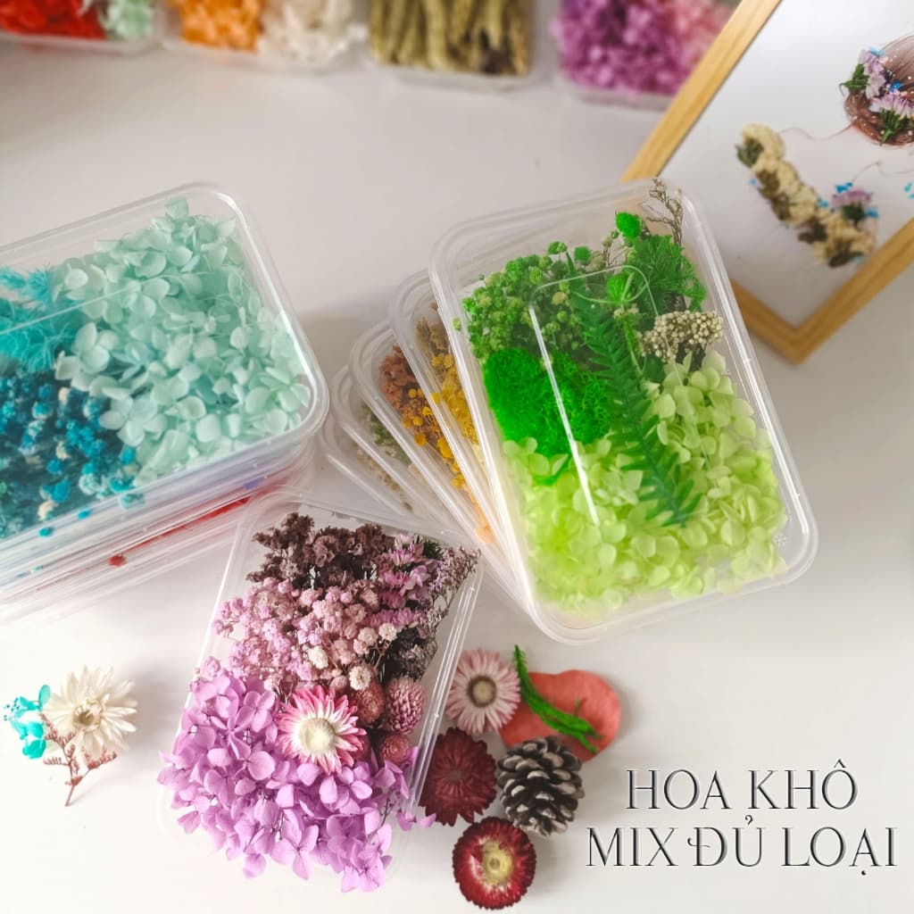 Hoa khô mix đủ loại dùng trong trang trí đồ handmade - HK001, HK013
