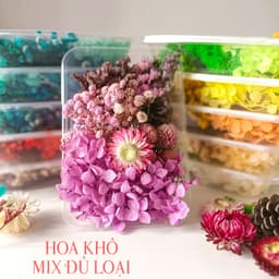 Hoa khô mix đủ loại dùng trong trang trí đồ handmade - HK001, HK013 2
