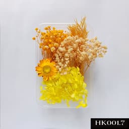Hoa khô mix đủ loại dùng trong trang trí đồ handmade - HK001, HK013 5