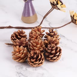 Combo 3 Quả thông khô phụ kiện trang trí hộp quà sinh nhật hay decor các sản phẩm handmade - THONGKHO 4