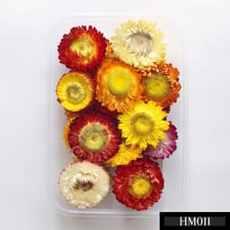 Hoa cúc khô trang trí, hoa cúc handmade - HK5011 1