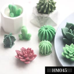Khuôn silicon xương rồng đủ loại dùng tạo hình trang trí hay làm bánh kẹo ngọt - HM045 2