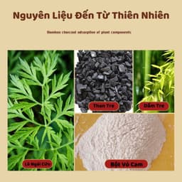 Hộp 50 miếng dán ngãi cứu thải độc cho bàn chân QA HAPPYLIFE giúp thải độc lưu thông tuần hoàn máu 8