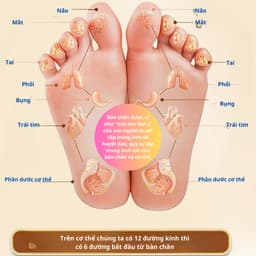 Hộp 50 miếng dán ngãi cứu thải độc cho bàn chân QA HAPPYLIFE giúp thải độc lưu thông tuần hoàn máu 3