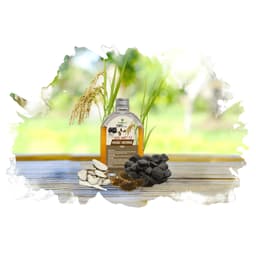 MỘC MIẾT TỬ HOẮC HƯƠNG ( 200ml ) 3