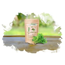 BỘT RAU MÁ NGUYÊN CHẤT (100gr) 2