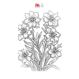 Tranh tô màu cây cối hoa lá nhiều mẫu không trùng 25-50 trang giáy A4 A5 - Đồ chơi POMI 5