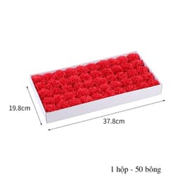 Hoa cẩm chướng dạng sáp, hoa sáp cẩm chướng, hoa cẩm chướng sáp, hoa cẩm chướng xà phòng. 5