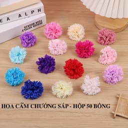 Hoa cẩm chướng dạng sáp, hoa sáp cẩm chướng, hoa cẩm chướng sáp, hoa cẩm chướng xà phòng. 1