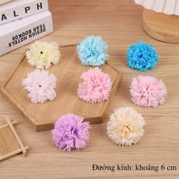 Hoa cẩm chướng dạng sáp, hoa sáp cẩm chướng, hoa cẩm chướng sáp, hoa cẩm chướng xà phòng. 2