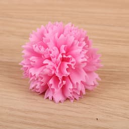 Hoa cẩm chướng dạng sáp, hoa sáp cẩm chướng, hoa cẩm chướng sáp, hoa cẩm chướng xà phòng. 3