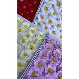 Hoa mao lương dạng sáp, hoa sáp hoa mao lương, hoa mao lương sáp, hoa mao lương xà phòng làm quà tặng 2