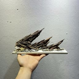 Layout Nature Ver.7 | Tiểu Cảnh Nghệ Thuật Được Chế Tác Thủ Công Từ Gỗ Lũa Tự Nhiên | RF Aquarium 7