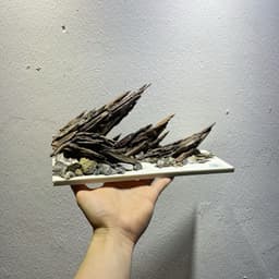 Layout Nature Ver.7 | Tiểu Cảnh Nghệ Thuật Được Chế Tác Thủ Công Từ Gỗ Lũa Tự Nhiên | RF Aquarium 6