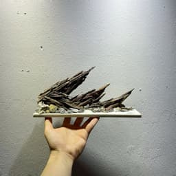 Layout Nature Ver.7 | Tiểu Cảnh Nghệ Thuật Được Chế Tác Thủ Công Từ Gỗ Lũa Tự Nhiên | RF Aquarium 4