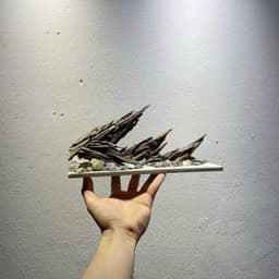 Layout Nature Ver.7 | Tiểu Cảnh Nghệ Thuật Được Chế Tác Thủ Công Từ Gỗ Lũa Tự Nhiên | RF Aquarium 3