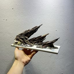 Layout Nature Ver.7 | Tiểu Cảnh Nghệ Thuật Được Chế Tác Thủ Công Từ Gỗ Lũa Tự Nhiên | RF Aquarium 5