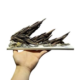 Layout Nature Ver.7 | Tiểu Cảnh Nghệ Thuật Được Chế Tác Thủ Công Từ Gỗ Lũa Tự Nhiên | RF Aquarium 2