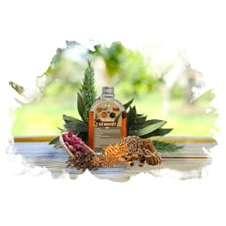 MAI QUẾ LỘ CỔ NGUYỆT MẸ KEN ( 200ml ) 3