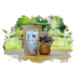 BỘT TÍA TÔ SẤY LẠNH NGUYÊN CHẤT MẸ KEN (100gr) 3