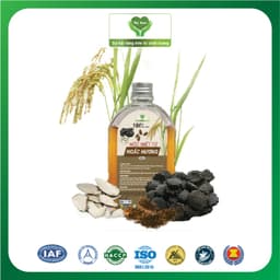MỘC MIẾT TỬ HOẮC HƯƠNG ( 200ml ) 2