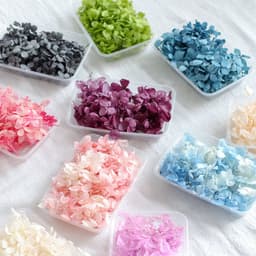 5g hoa cẩm tú cầu khô dùng trang trí handmade, làm nến thơm, làm sáp thơm, làm resin - HMHK5004 1