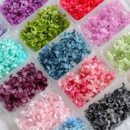 5g hoa cẩm tú cầu khô dùng trang trí handmade, làm nến thơm, làm sáp thơm, làm resin - HMHK5004 3