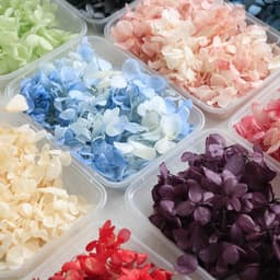 5g hoa cẩm tú cầu khô dùng trang trí handmade, làm nến thơm, làm sáp thơm, làm resin - HMHK5004 2