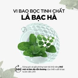Dung Dịch Vệ Sinh Rogé Cavaillès L'intime Fraicheur Sạch Mùi Thơm Mát 250ml 2