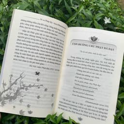 Sách - Phật Pháp Trong Đời Sống - Vĩnh Nghiêm Books 8