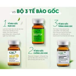 [ Kèm Quà ] Tế Bào Gốc GSC Hàn Quốc. Phục Hồi Sửa Chữa Tổn Thương Chuyên Sâu. Sáng Da, Mờ Thâm Nám, Tàn Nhang, Giảm Sẹo 2