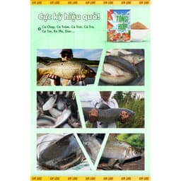 [MUA 6 TÍNH 5] Mồi Câu Tổng Hợp KIM LONG 250g - Mua 12 TÍNH 10 6