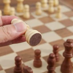 Cờ Vua Gỗ Nam Châm Cao Cấp có Từ Tính Cao Giúp Con Phát Triển Trí Tuệ 8