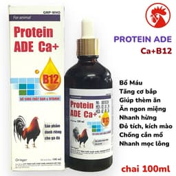 Protein ADE Ca+ 100ml Vitamin B12 tăng nước máu, tăng bo, tăng lực, bổ máu gà đá, gà cựa, gà đòn. 1
