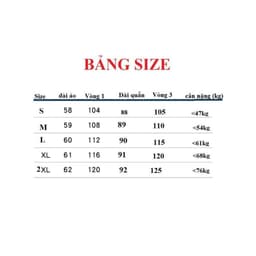 Bộ trung niên tay cộc quần dài B08 chất lụa mango 3
